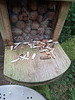 oaw[rsq] - feeding signs {12 Aug 2026}