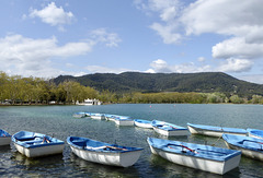 Blue boats