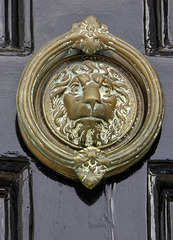 Brass Lion Head  round door knocker
