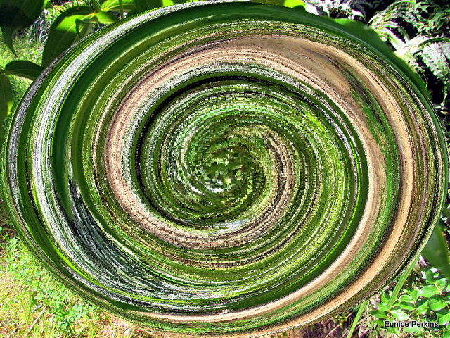 Nature's in a Whirl.