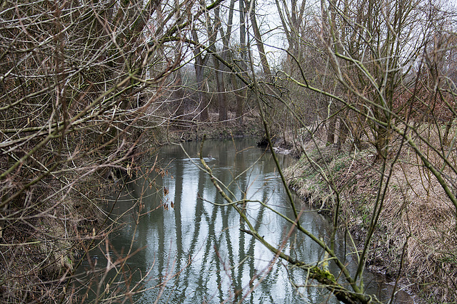 20160217 0074VRAw [D~LIP] Bega, Bega-Aue, Bad Salzuflen