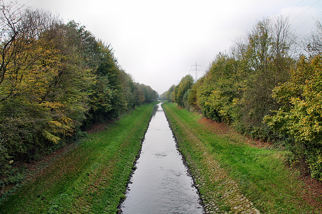 Die Emscher bei Ickern (Castrop-Rauxel) / 2.11.2017