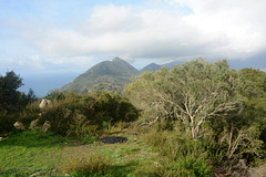 Greece, Winter Landscape of Kerkyra (Corfu) Western Coast