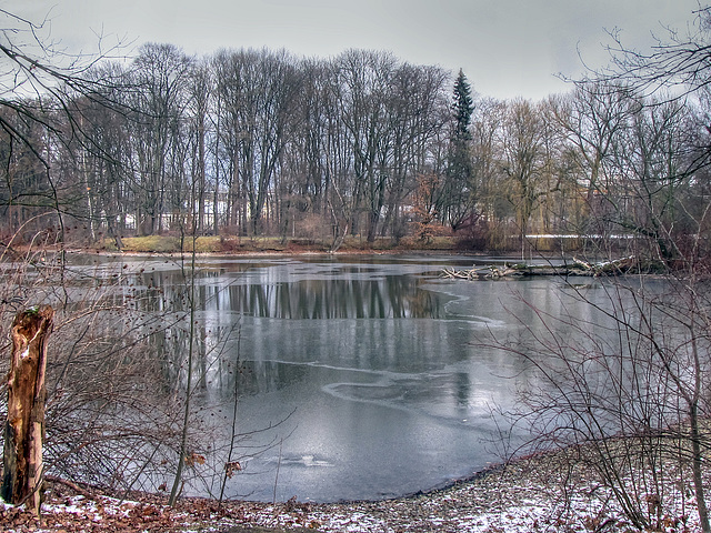 teilweise gefrorener Stadtparkteich