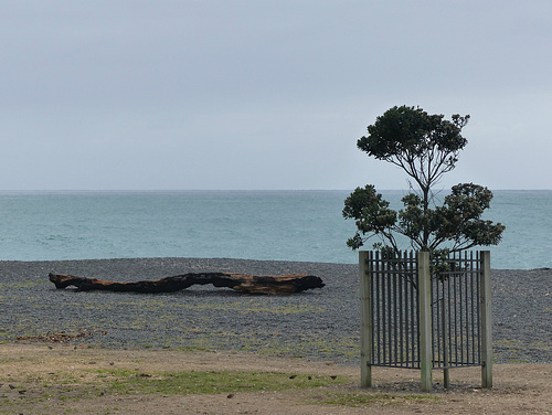 View from Veronica Sunbay (3) - 26 February 2015