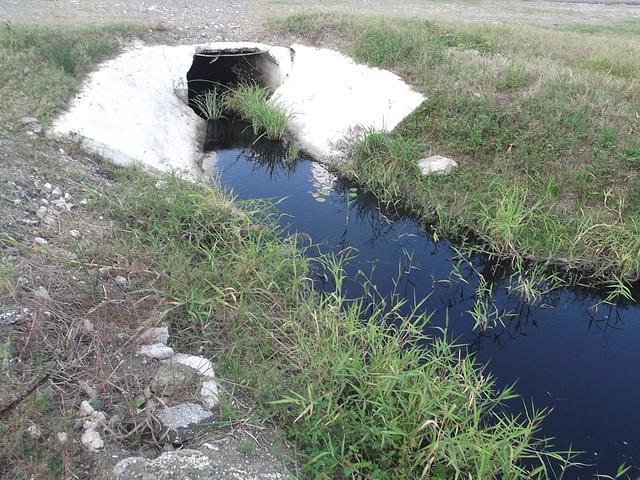 Ruisseau cubain