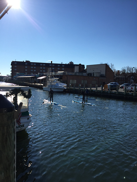 paddle surfers... in December