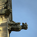 Gargoyles 1