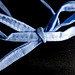 Tangled Up In Blue (PiP)