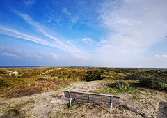 Bench with a View - HBM