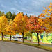 Farben des Herbstes am Straßenrand