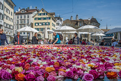 Münsterhof-Brunnen ... P.i.P. (© Buelipix)