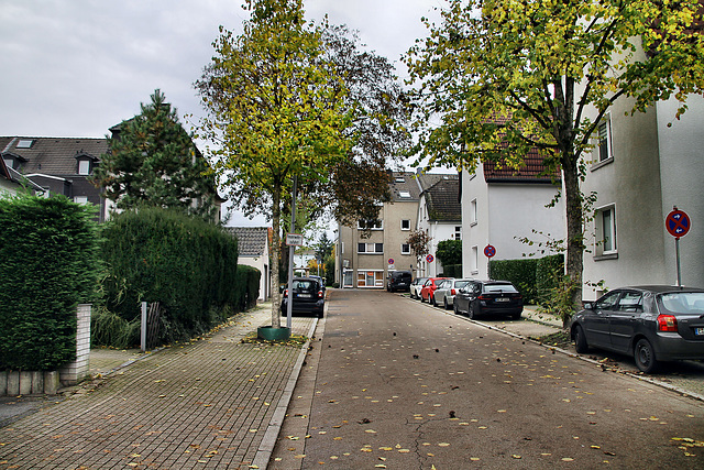 Freiligrathstraße (Essen-Kettwig) / 1.11.2023