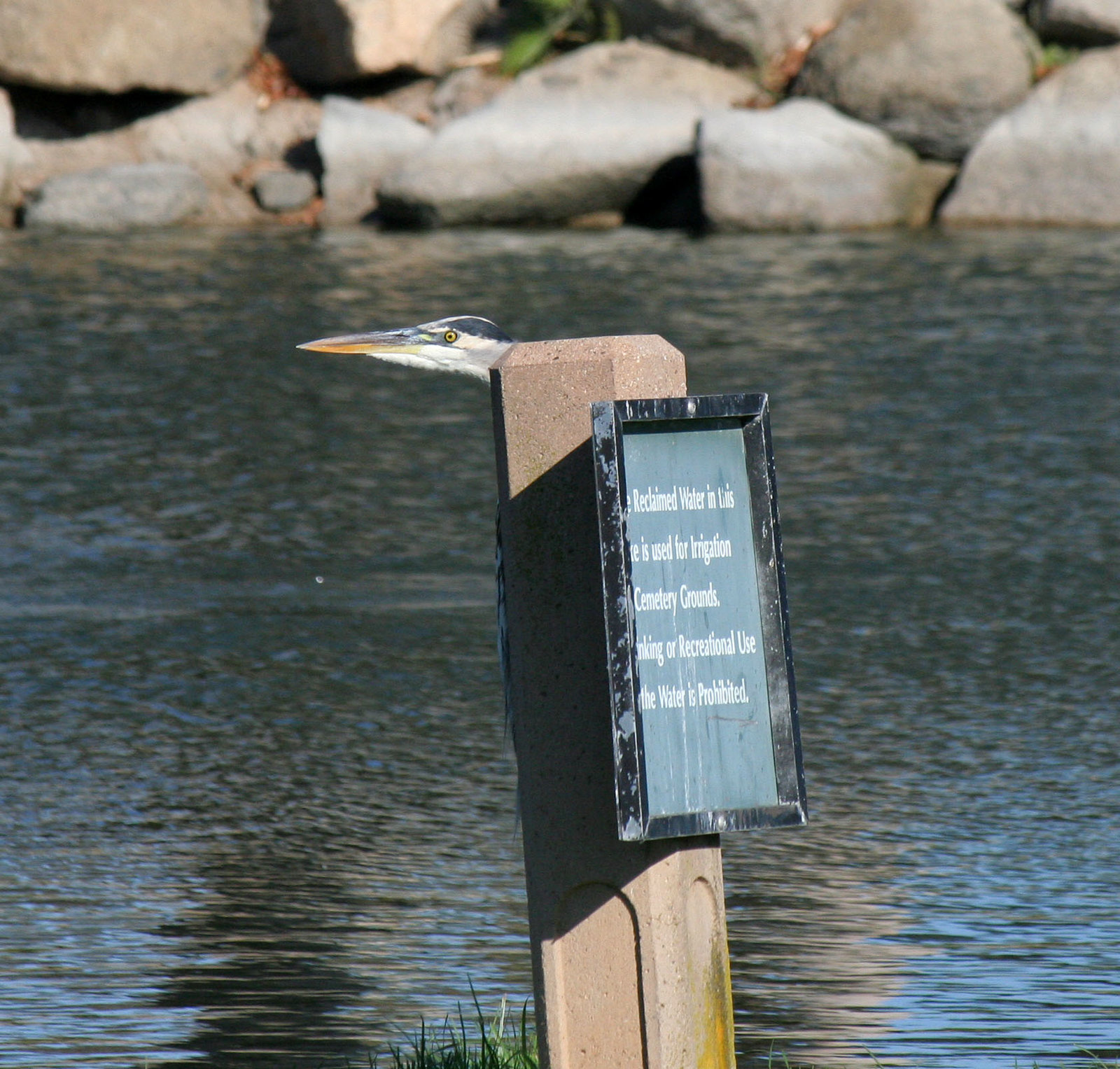 Riverside National Cemetery (4923)