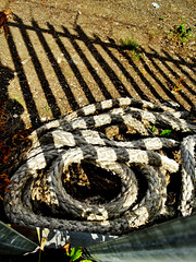 Shadows in the boatyard