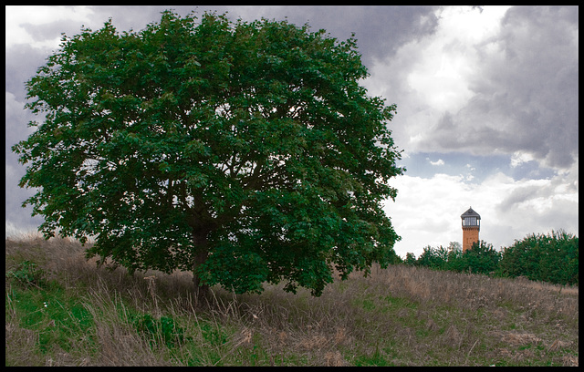 Woolwich Common