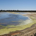 Lagune de la Ria Formosa, Faro (Portugal)