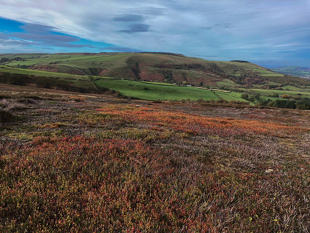 Whiteley Nab