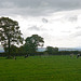 Jodrell Bank