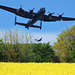Shuttleworth: - Avro Lancaster + Bristol Blenheim