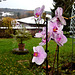 View through a window,  Bad Kissingen