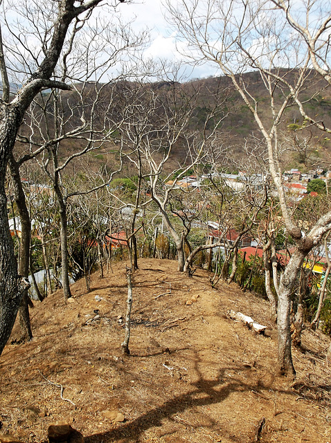 La nature de Boaco en altitude