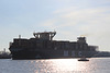 MSC LORETO