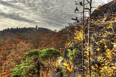 Lookout Tower Diana 1