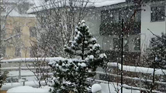Schnee im Januar 2019. ©UdoSm
