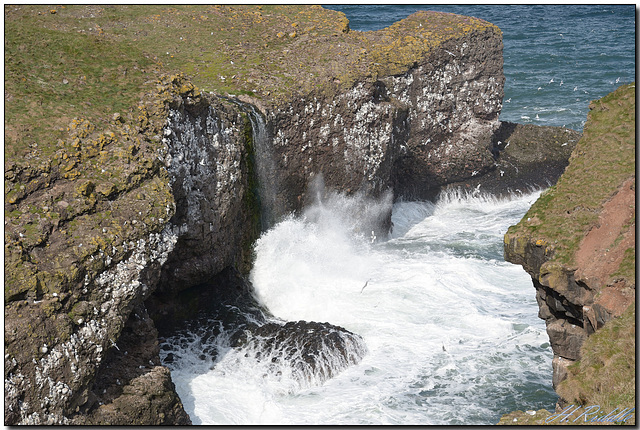 Crawton Cliffs and waterfall