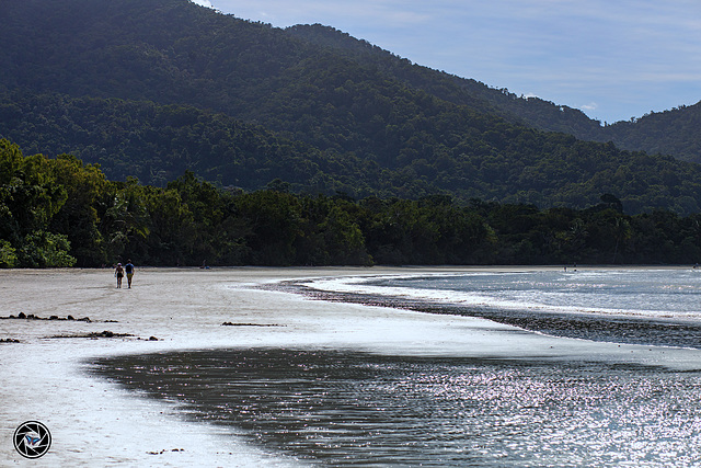 Cape Tribulation