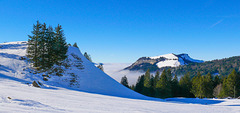Schwägalp im Winter ... P.i.P.  (© Buelipix)