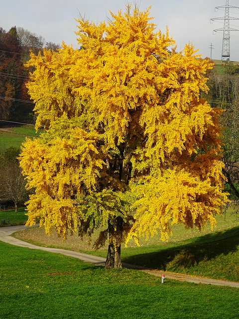 Herbst von seiner besten Seite