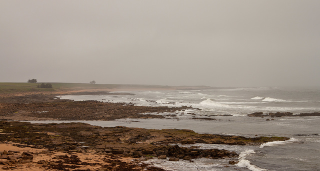 A murky Kingsbarns