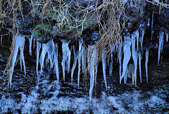 Icicles 5