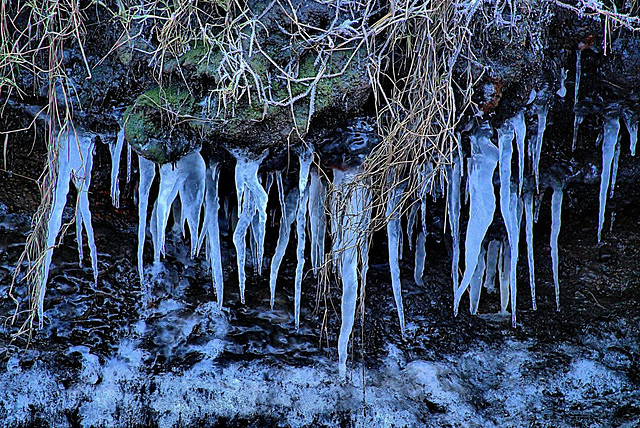 Icicles 5