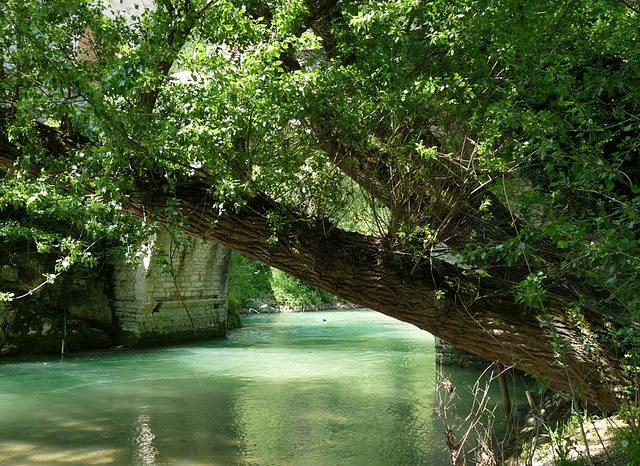 Jesi - Gap delle Marche  2009 May 2nd -3rd- San Vittore delle Chiuse Abbey- Roman Bridge