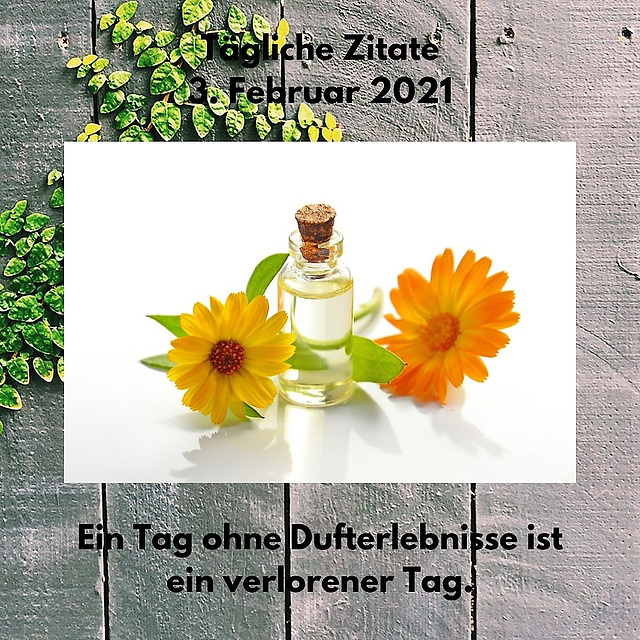 Tägliche Zitate 3. Februar 2021