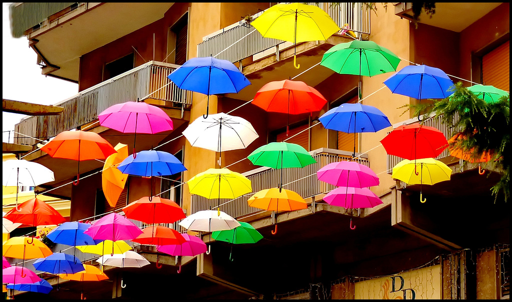 Genova : Ombrelli appesi