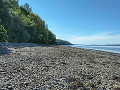 Tay Estuary