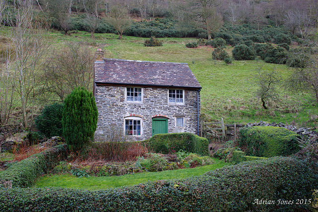 Cottage