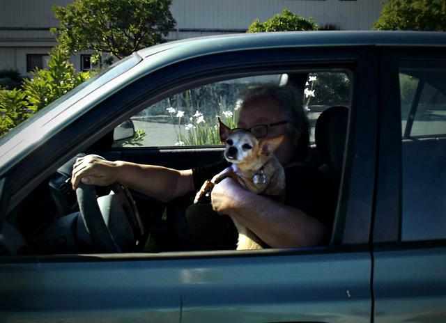 Little passenger