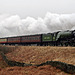 LNER class A1 4-6-2 60163 TONADO with the 15.40 Grosmont - Pickering service passing Moorgates 10th March 2018