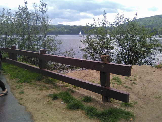 Voile et clôture......c'est le pied !