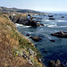 Left Coast Splendor