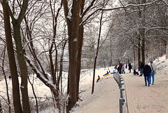 Winterspaß am Ziegelsee Winterspaß am Ziegelsee