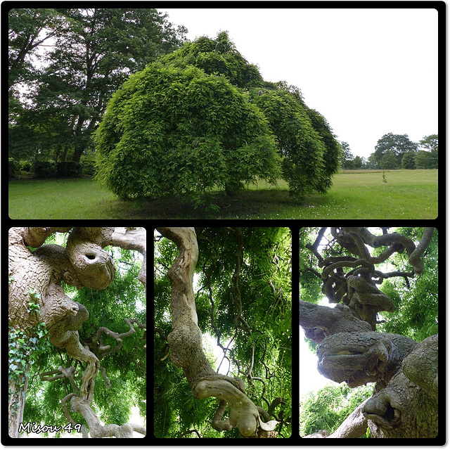 RENDEZ-VOUS AUX JARDINS RENDEZ-VOUS AUX JARDINS