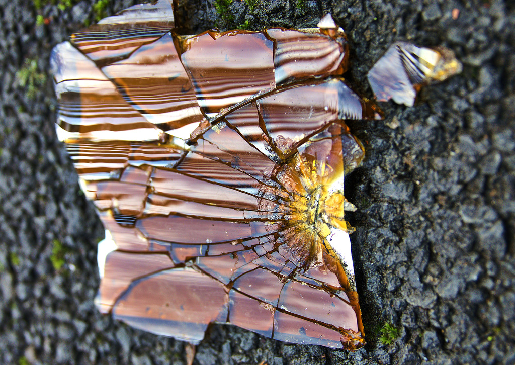 Broken Bottle......Or A Tortoiseshell Treasure Trove?