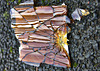 Broken Bottle......Or A Tortoiseshell Treasure Trove?