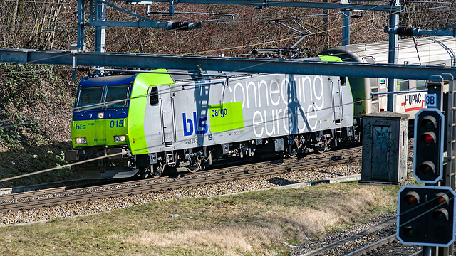 070306 Re485 BLS fret Wankdorf